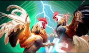 Đá Gà WS168 tại Gem88